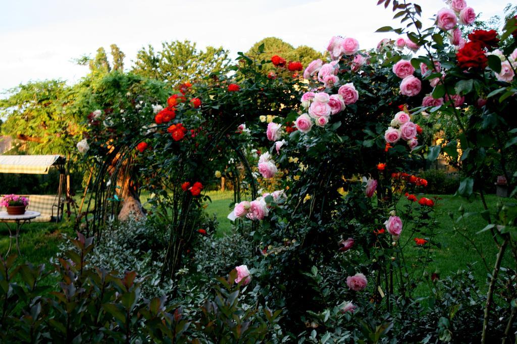 Agriturismo Argaland パルマ エクステリア 写真